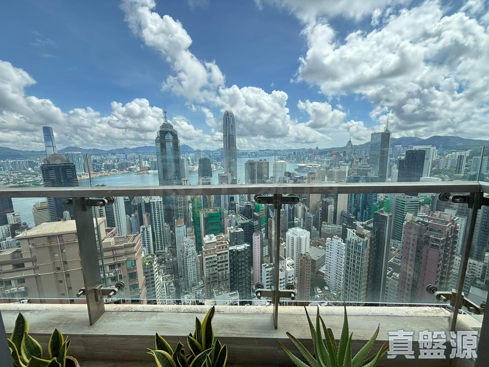 懿峰 極高層 B室 西半山