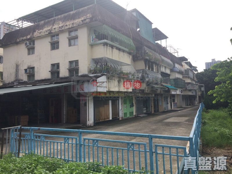 涌美老屋村 低層 青衣