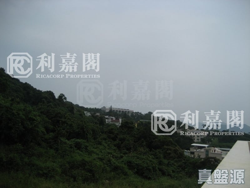 凤谊花园 西贡