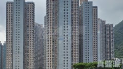 錦龍苑 龍耀閣 (C座)