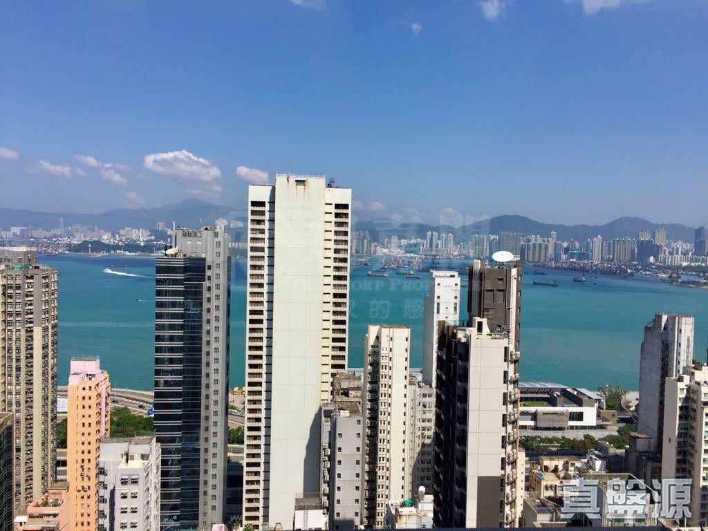 縉城峰 2座 高層 C室 中上環/西區