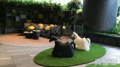 形薈 2座 低層 D室 西灣河/筲箕灣