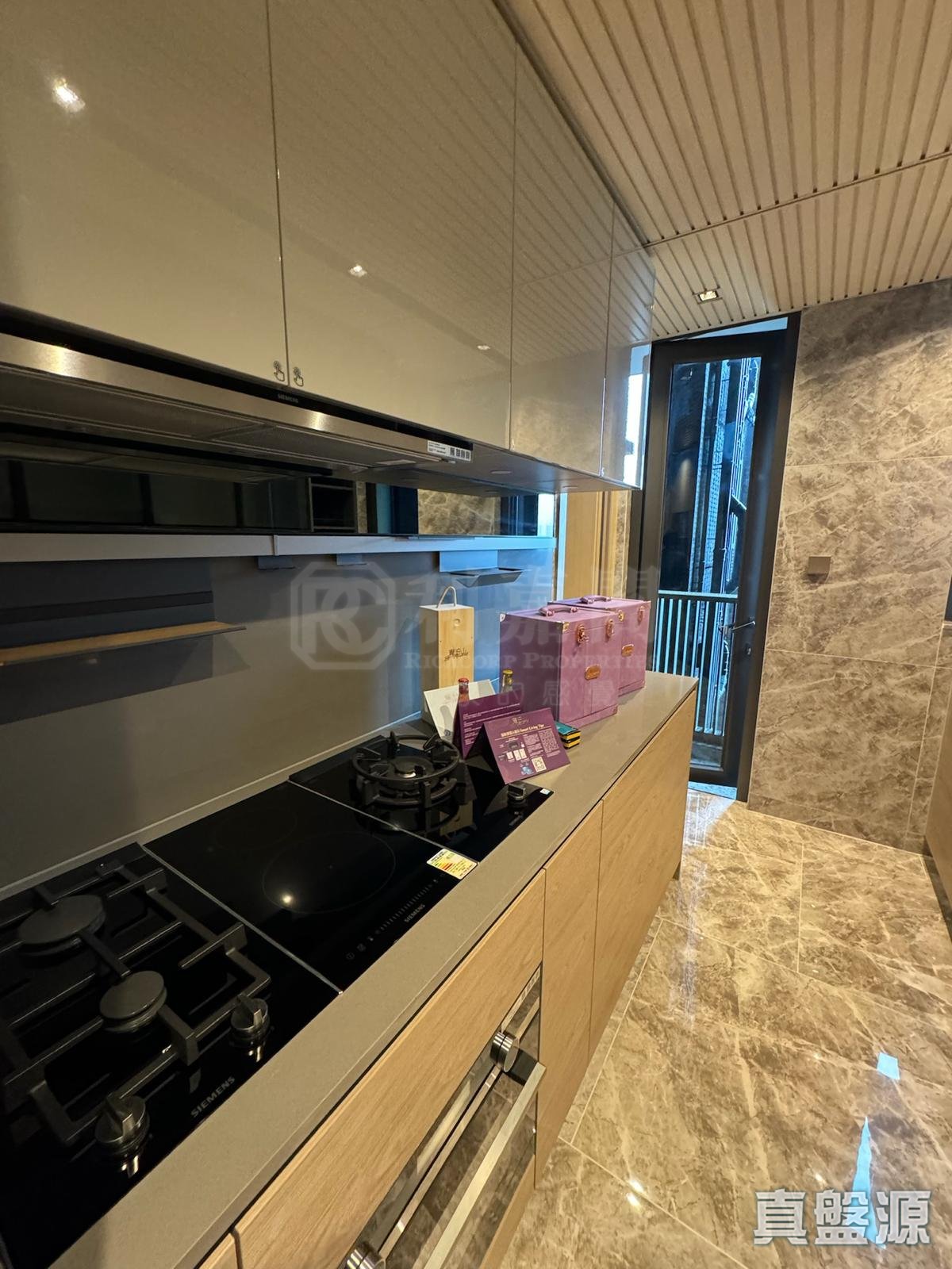 瓏珀山 2期 King Tower 2座 高層 C室 沙田/火炭/九肚山