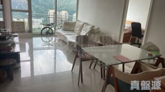 名城 2期 盛薈 5座 極高層 SA室 大圍