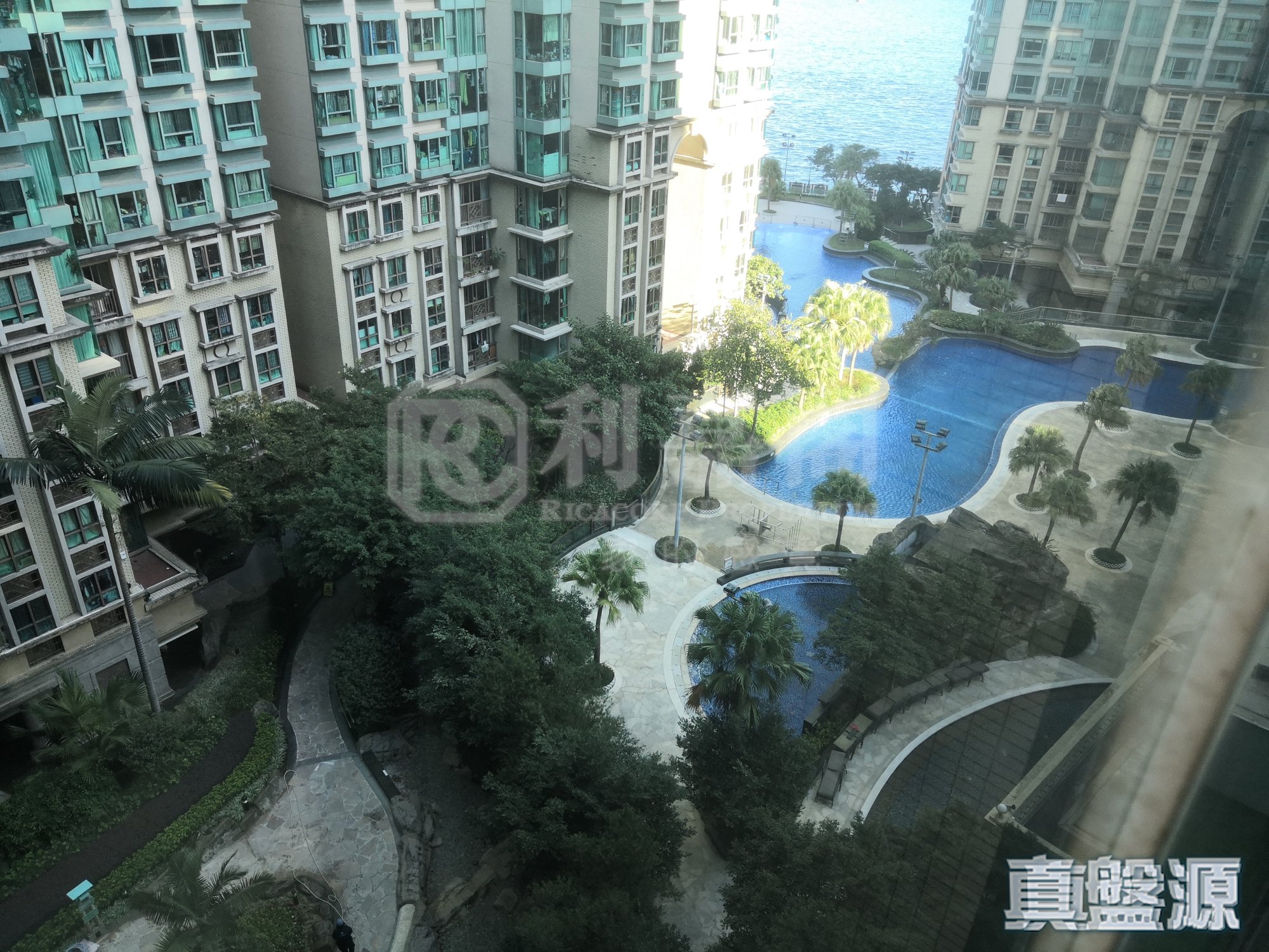 海逸豪园 3期 悦涛湾 11座 中层 B室 红磡/黄埔/海逸