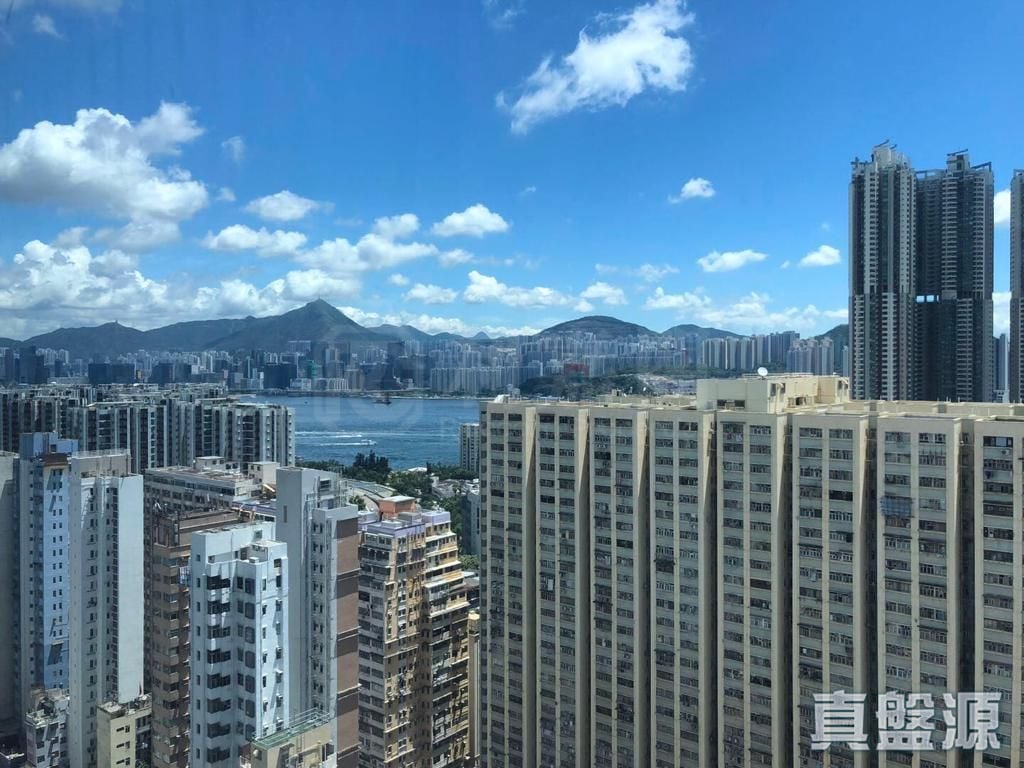 柏匯 高層 A室 西灣河/筲箕灣