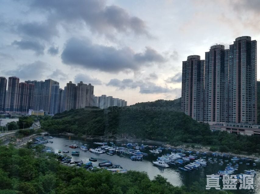 SAVANNAH 1座 高層 F室 將軍澳