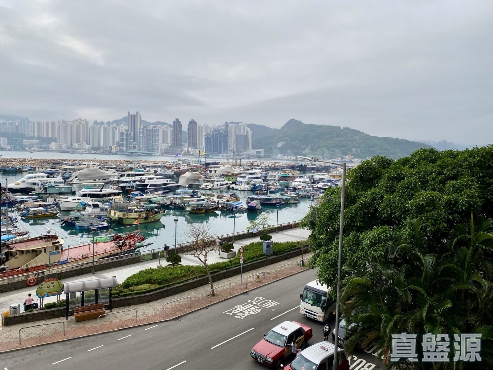 東旭苑 東曉閣 (C座) 低層 4室 西灣河/筲箕灣