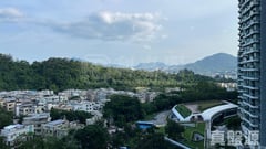 嵐山 1期 9座 中層 G室 大埔