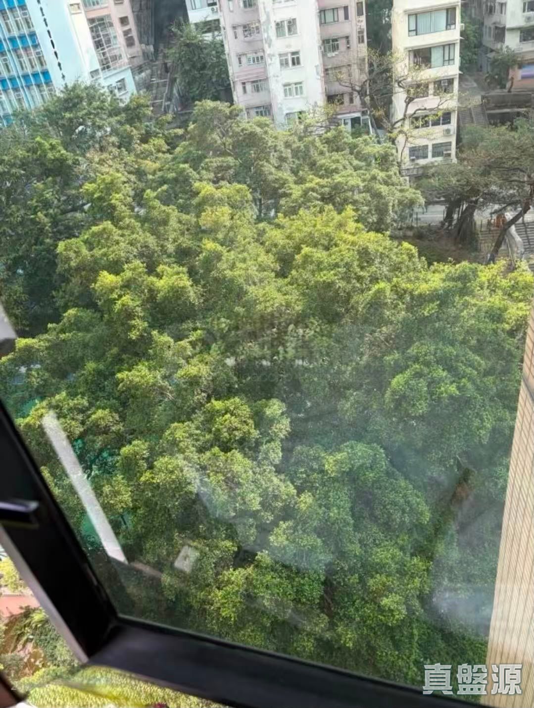 顺景雅庭 中层 C室 中上环/西区