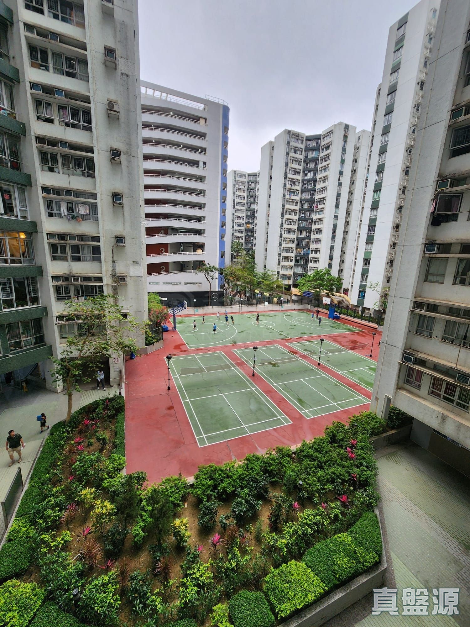 黄埔花园 3期 翠杨苑 4座 低层 D室 红磡/黄埔/海逸