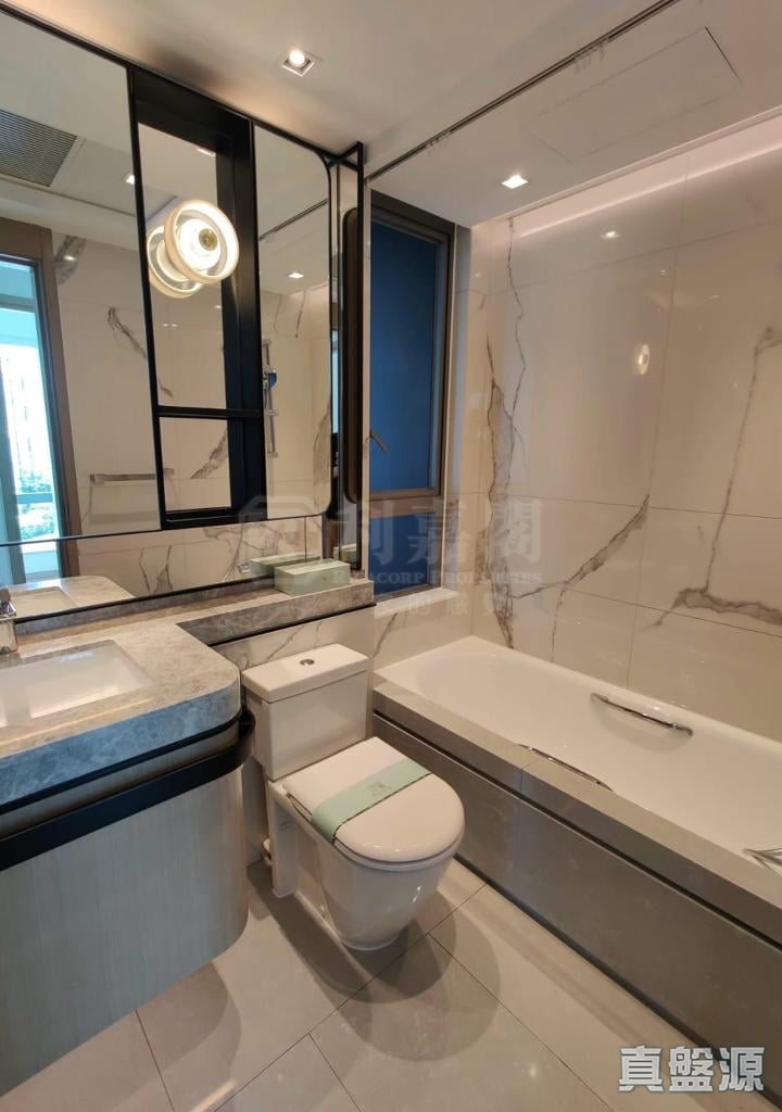 ST MARTIN PHASE 2 - Tower 11 Medium Floor Zone Flat A1 Tai Po