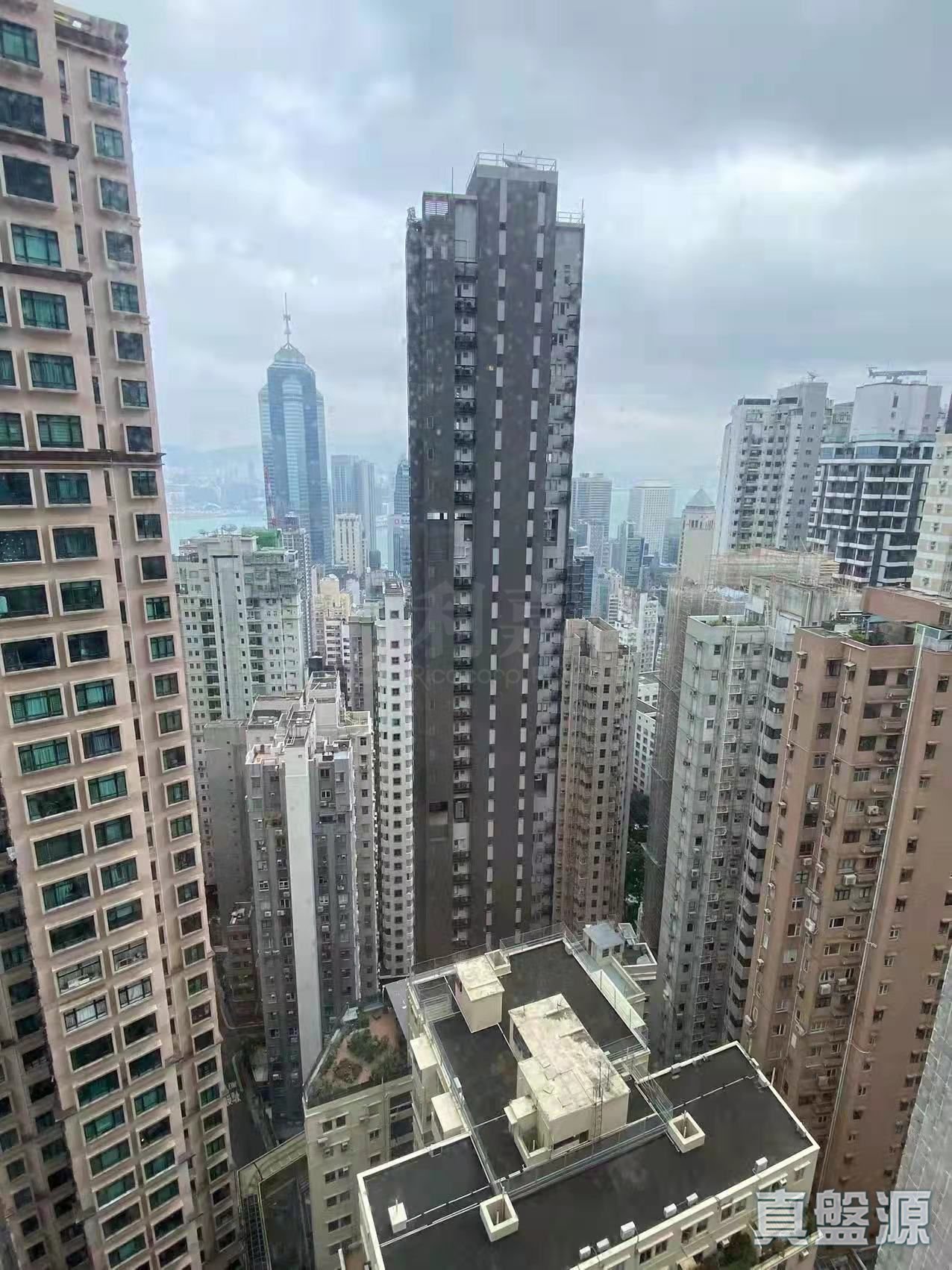 慧豪阁 2座 中层 F室 西半山
