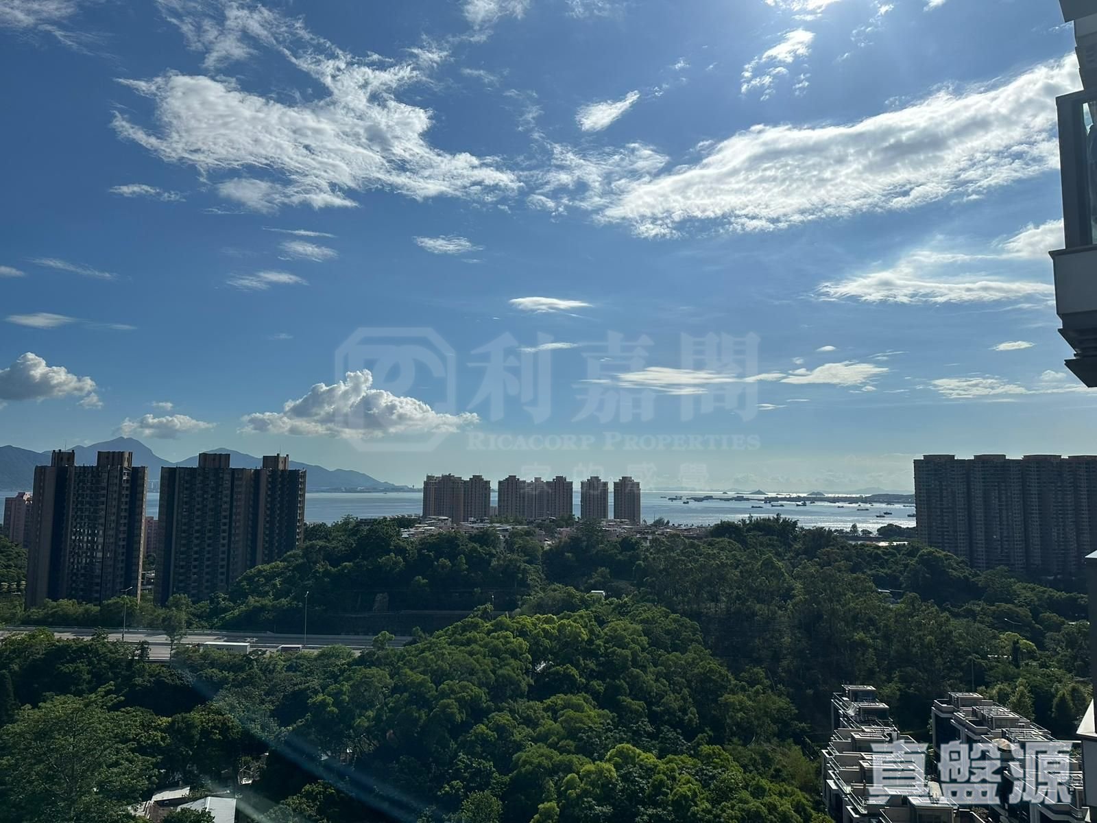 緹岸 2期 5座 極高層 D室 深井/青山公路