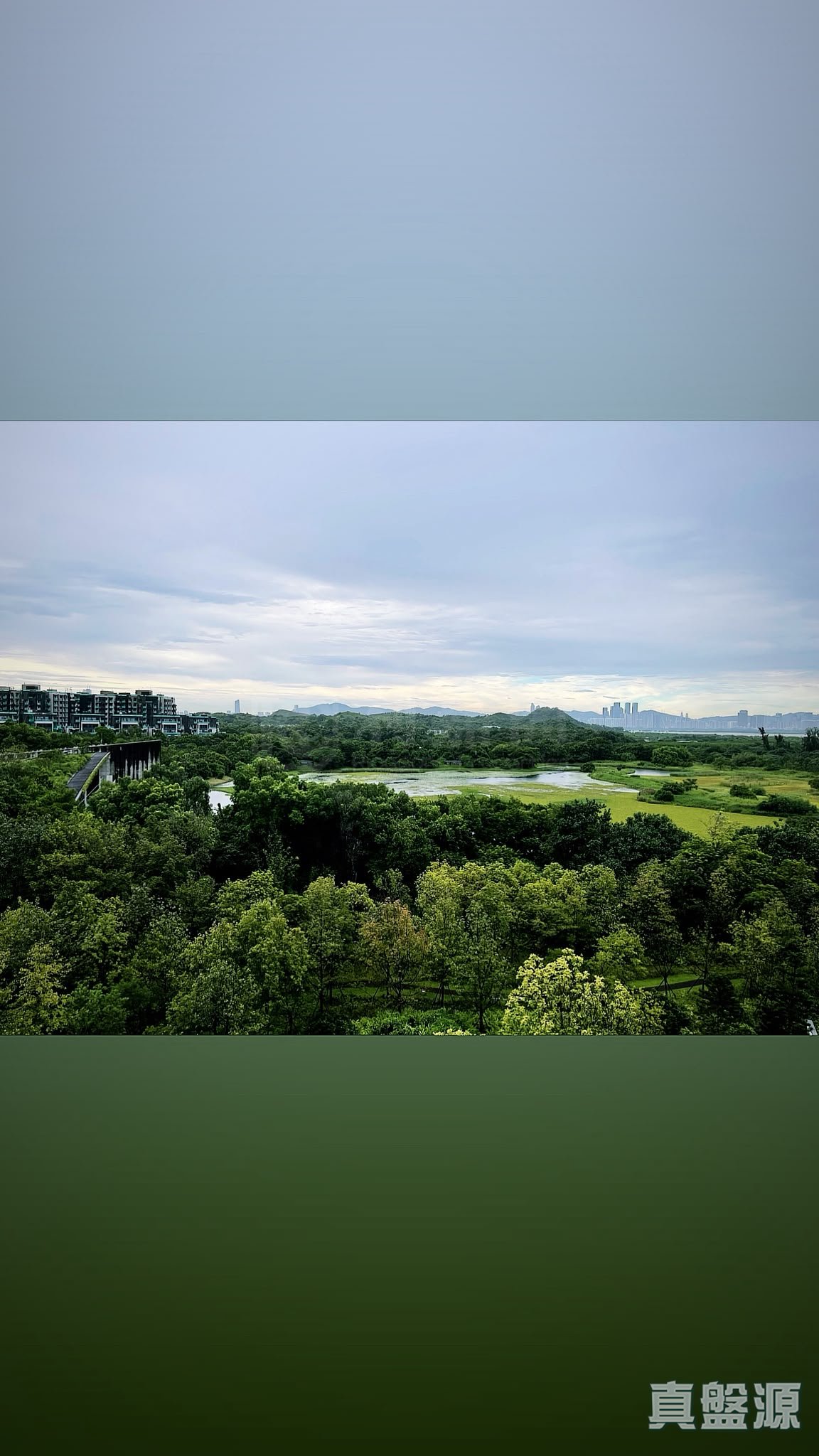 WETLAND SEASONS PARK 2期 15座 高层 A2室 天水围