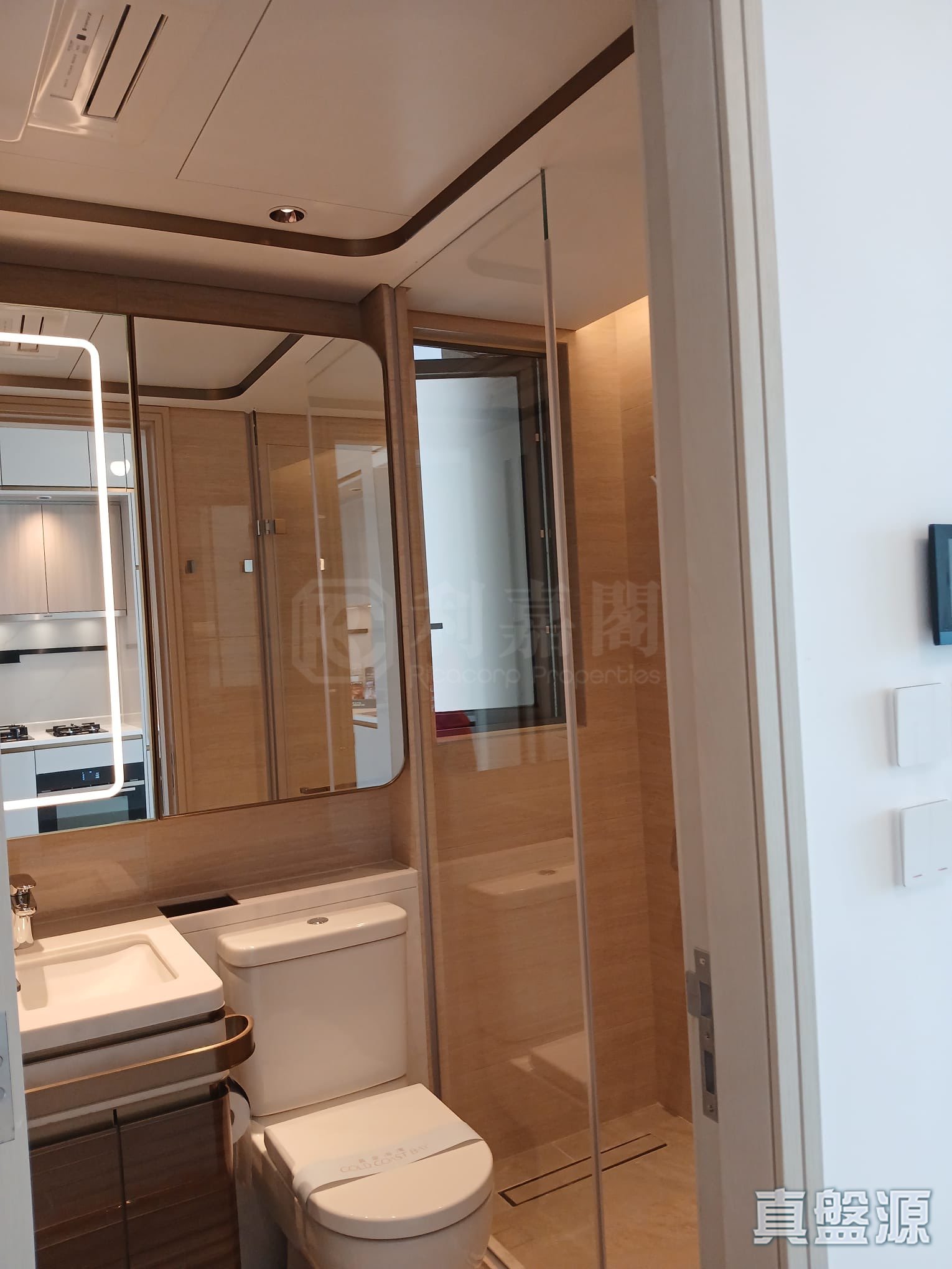 黃金海灣 2期 珀岸 1座 (1B) 高層 A室 深井/青山公路