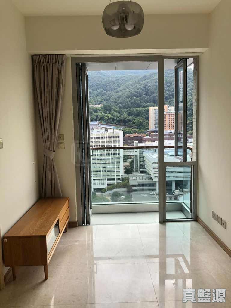 NO. 63 POK FU LAM ROAD TOWER 1 (AMBER HOUSE) Very High Floor Zone Flat B Mid-Levels West