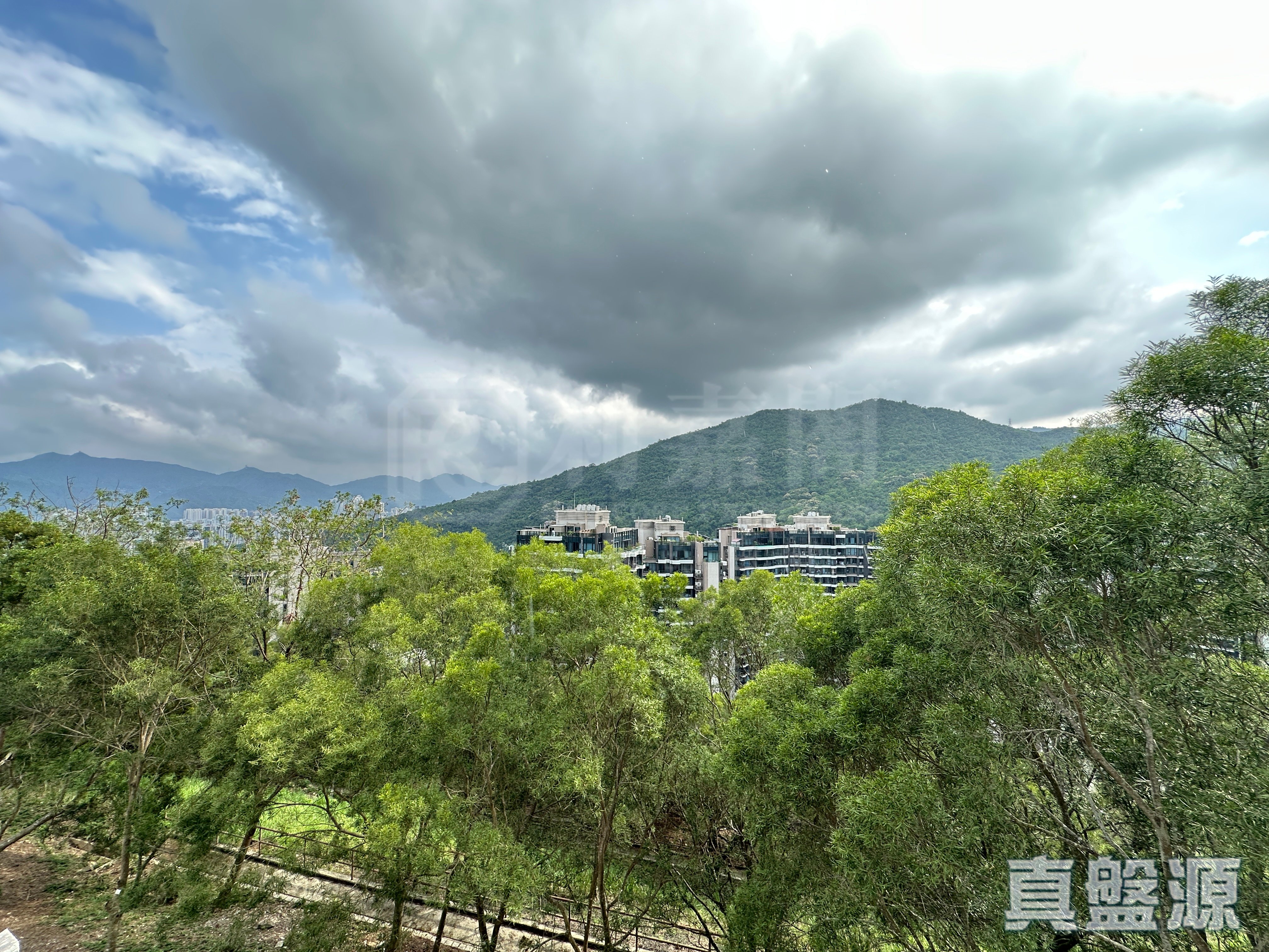 九肚山峰 沙田/火炭/九肚山