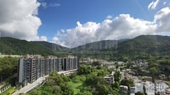 天鑽 1座 極高層 E室 大埔