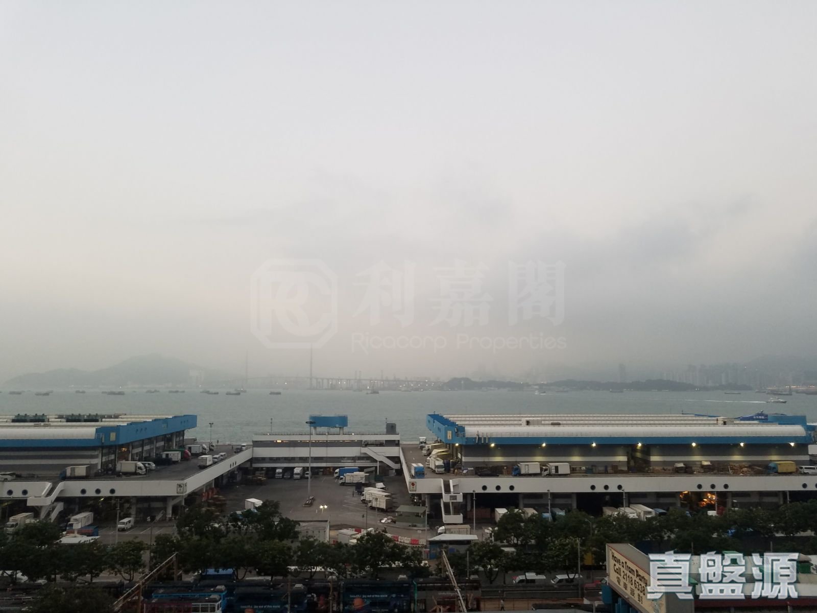 维港峰 低层 D室 中上环/西区