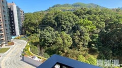 天鑽 16座 高層 H室 大埔