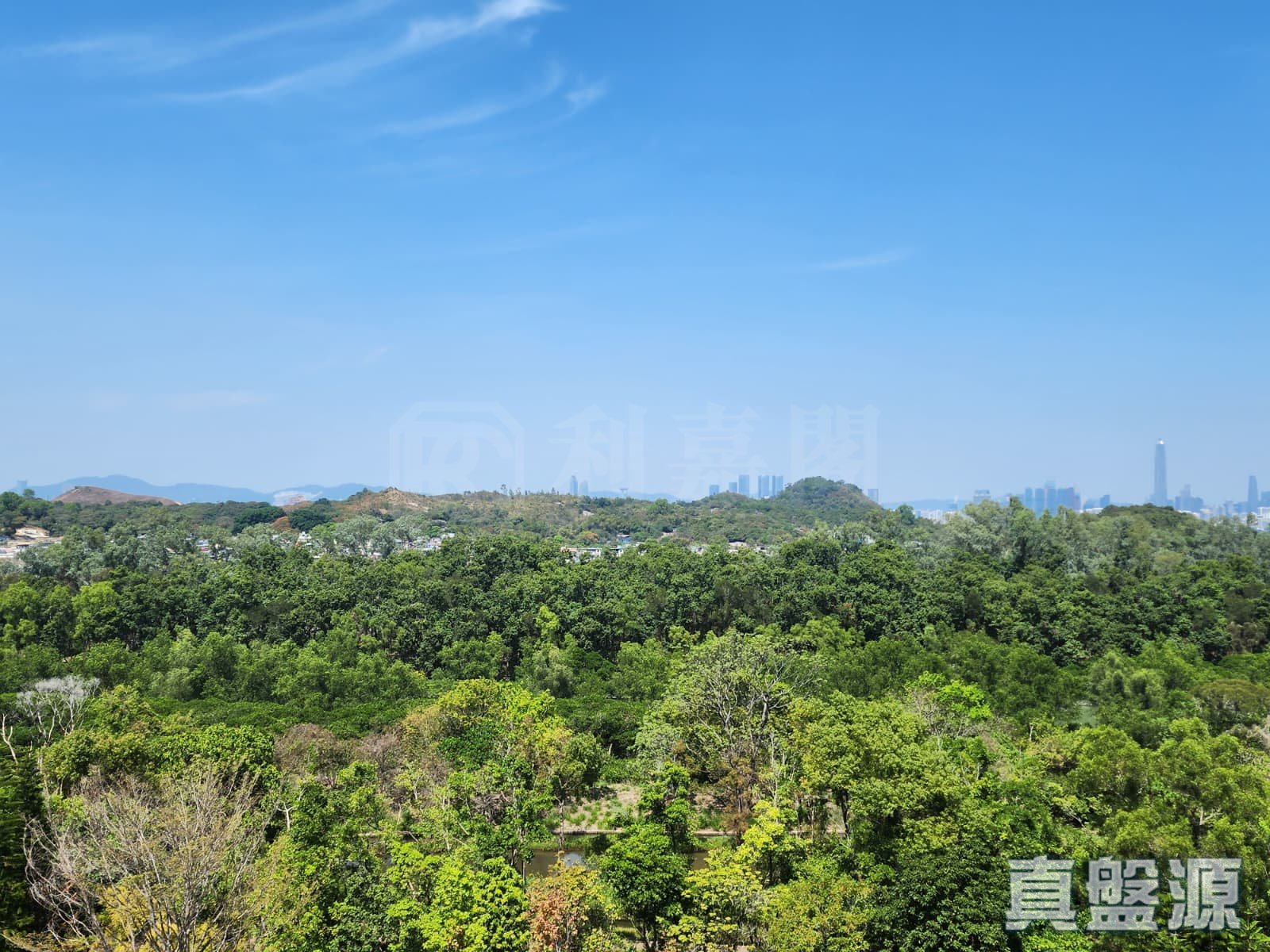 WETLAND SEASONS BAY 1期 2A座 天水围
