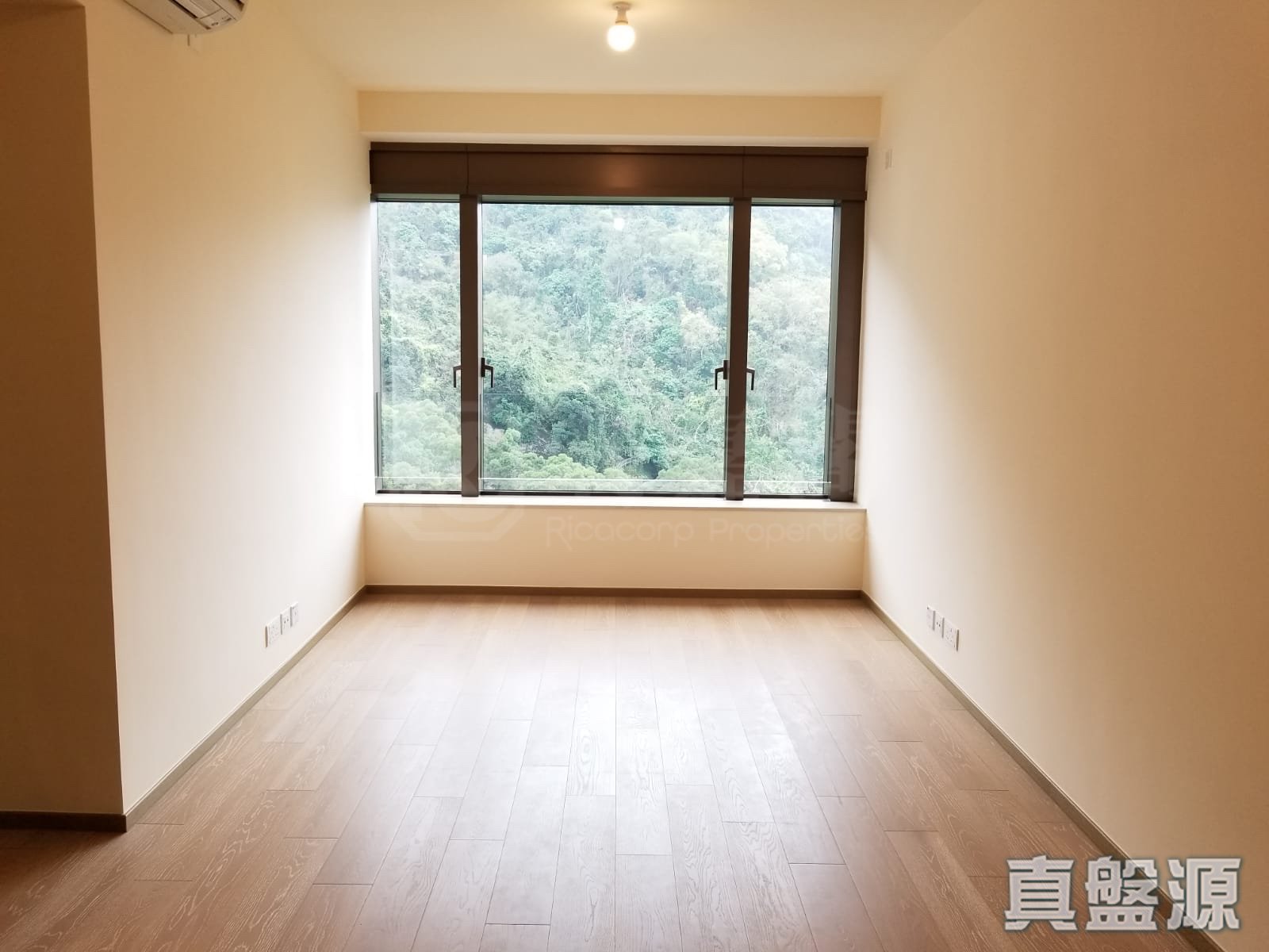 香島 1座 高層 D室 西灣河/筲箕灣