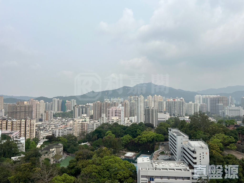 新達廣場 5座 高層 C室 大埔