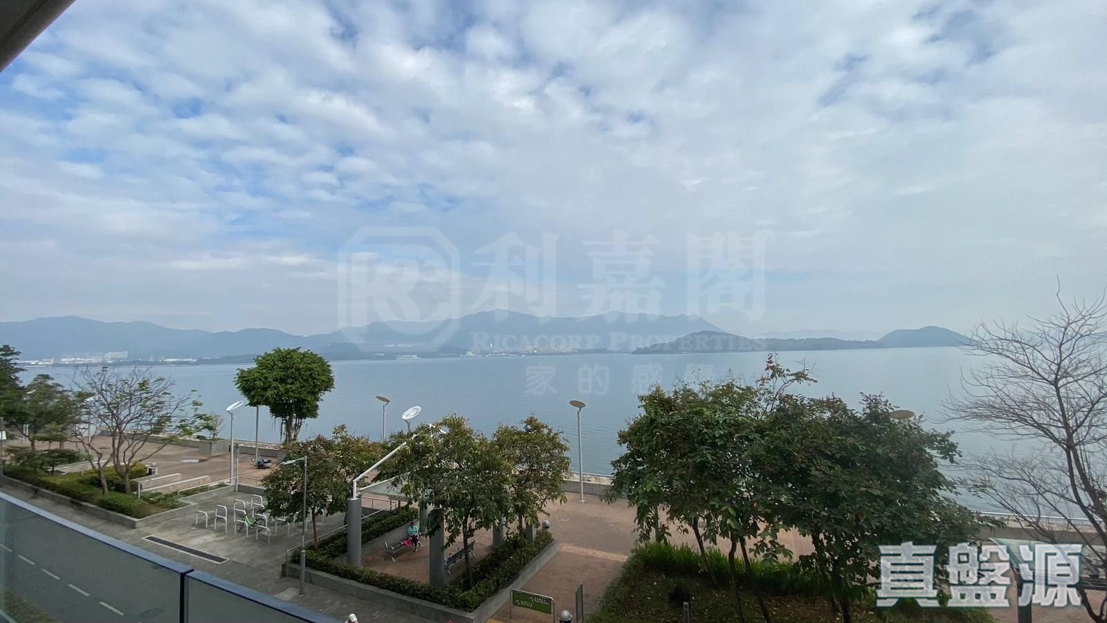 天賦海灣 1期 5座 中層 大埔