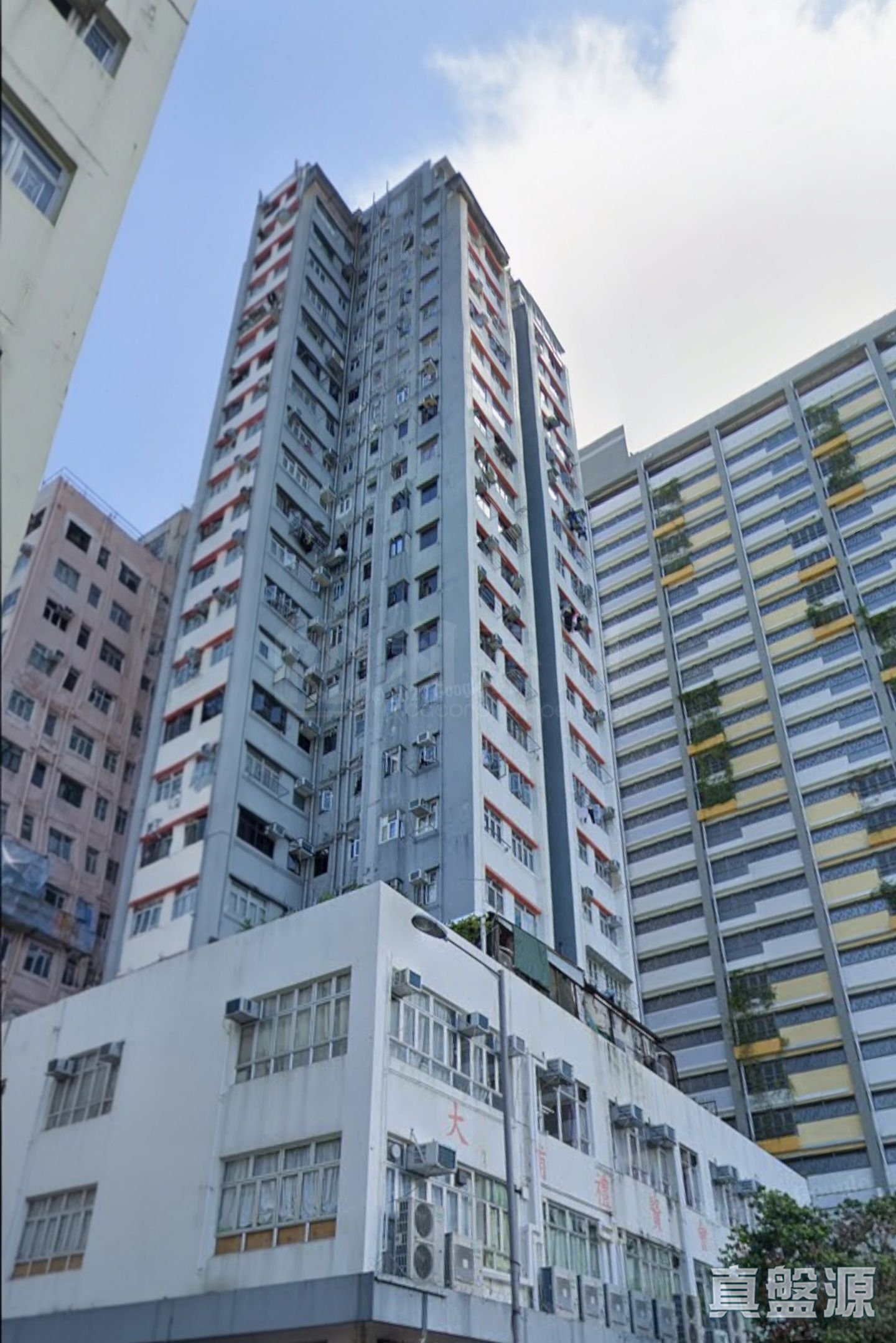 金富樓 低層 B室 大埔