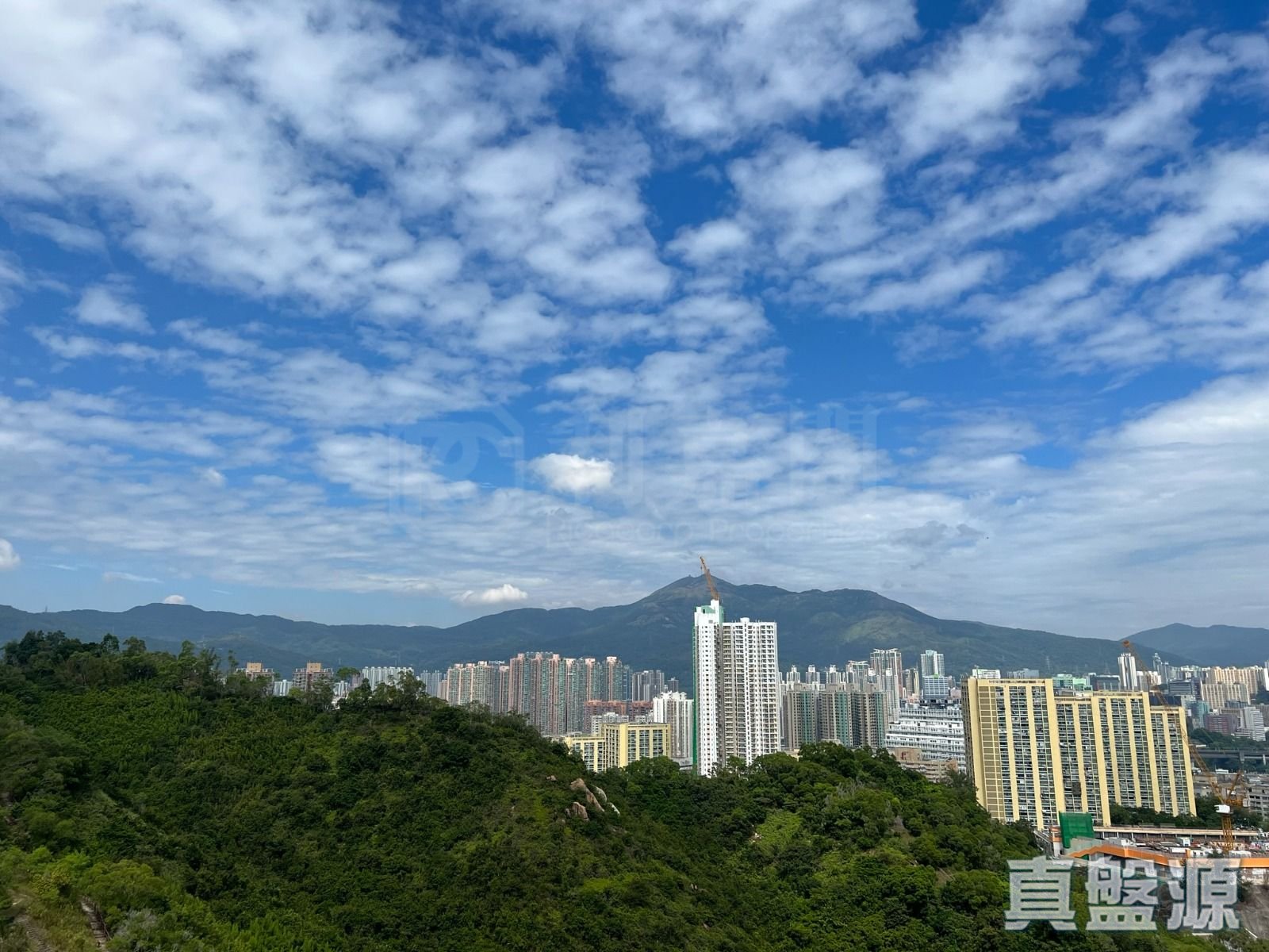 明翘汇 2座 极高层 E室 青衣