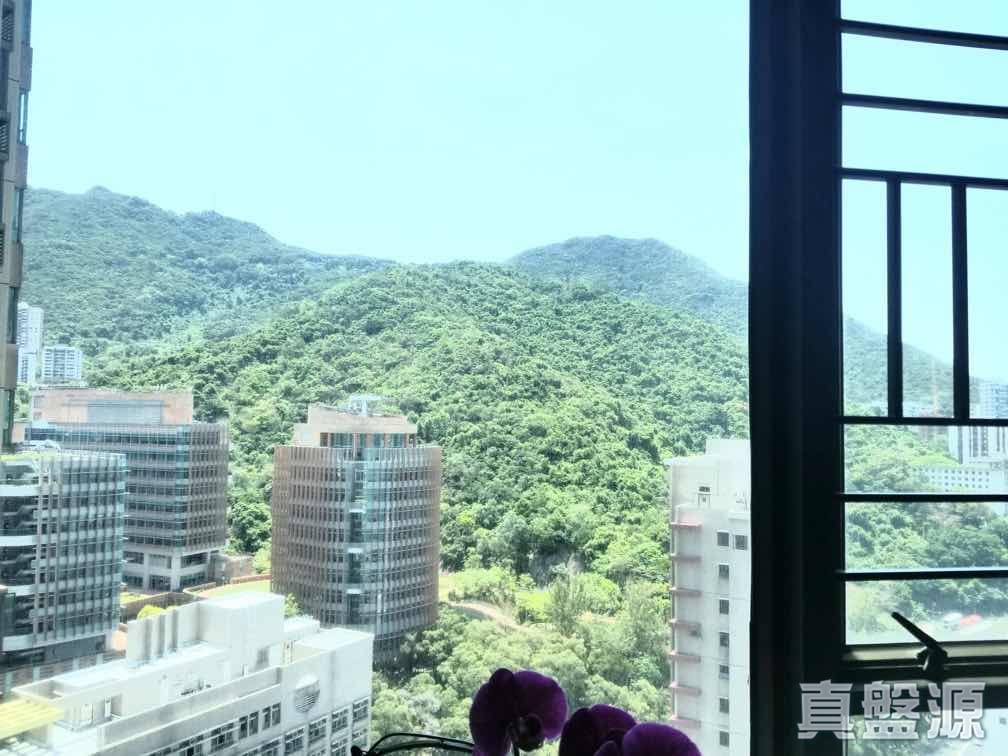 寶翠園 1期 1座 高層 C室 西半山