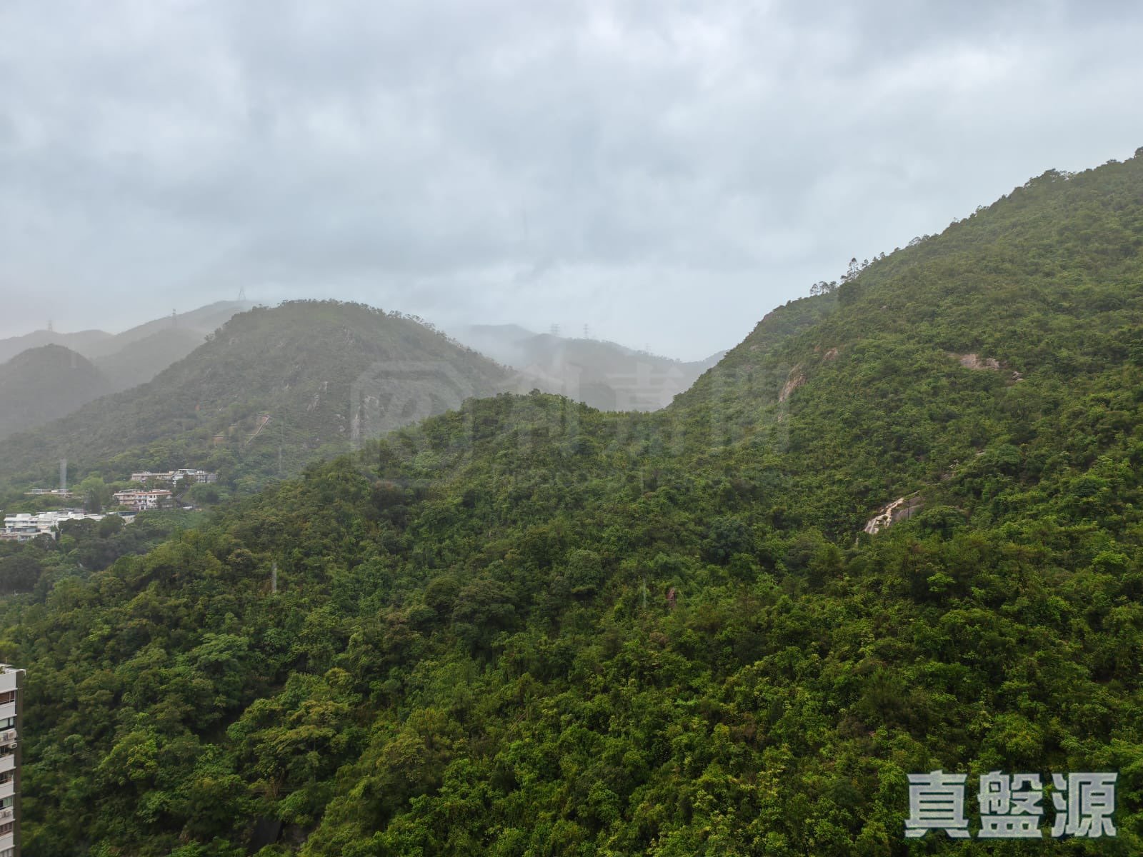 晋名峰 D座 高层 C室 沙田/火炭/九肚山