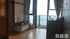 嘉悅 2座 極高層 B室 將軍澳