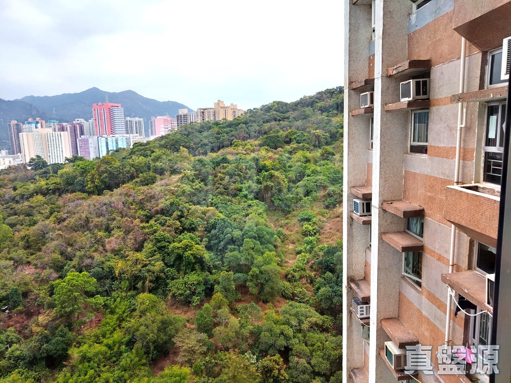 SAN WAI COURT SAN WOON HOUSE (BLOCK E) Tuen Mun