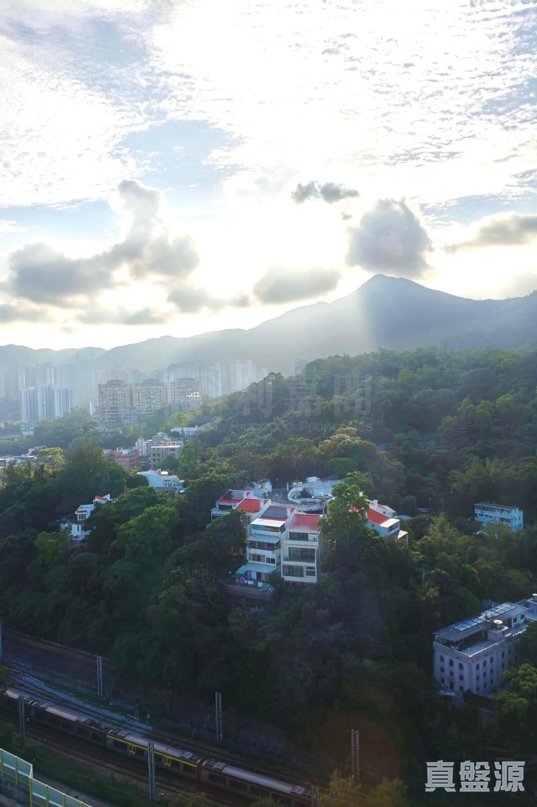 希爾頓中心 C座 極高層 5室 沙田/火炭/九肚山