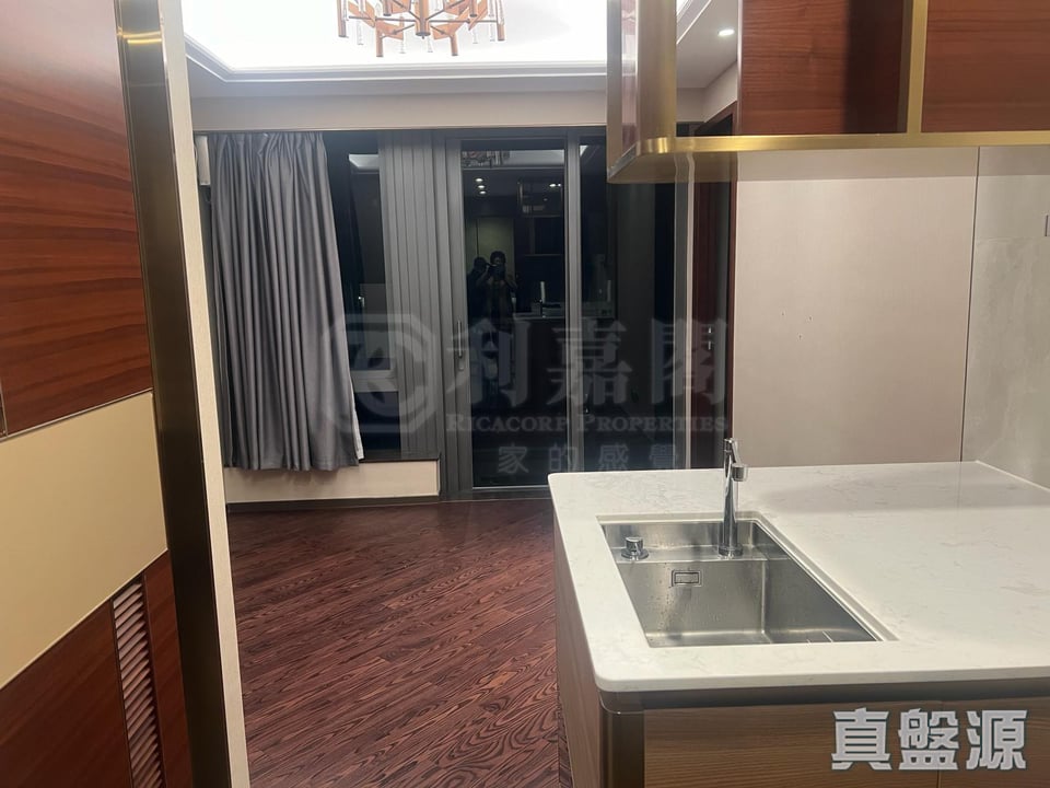 緹岸 2期 5座 高層 K室 深井/青山公路