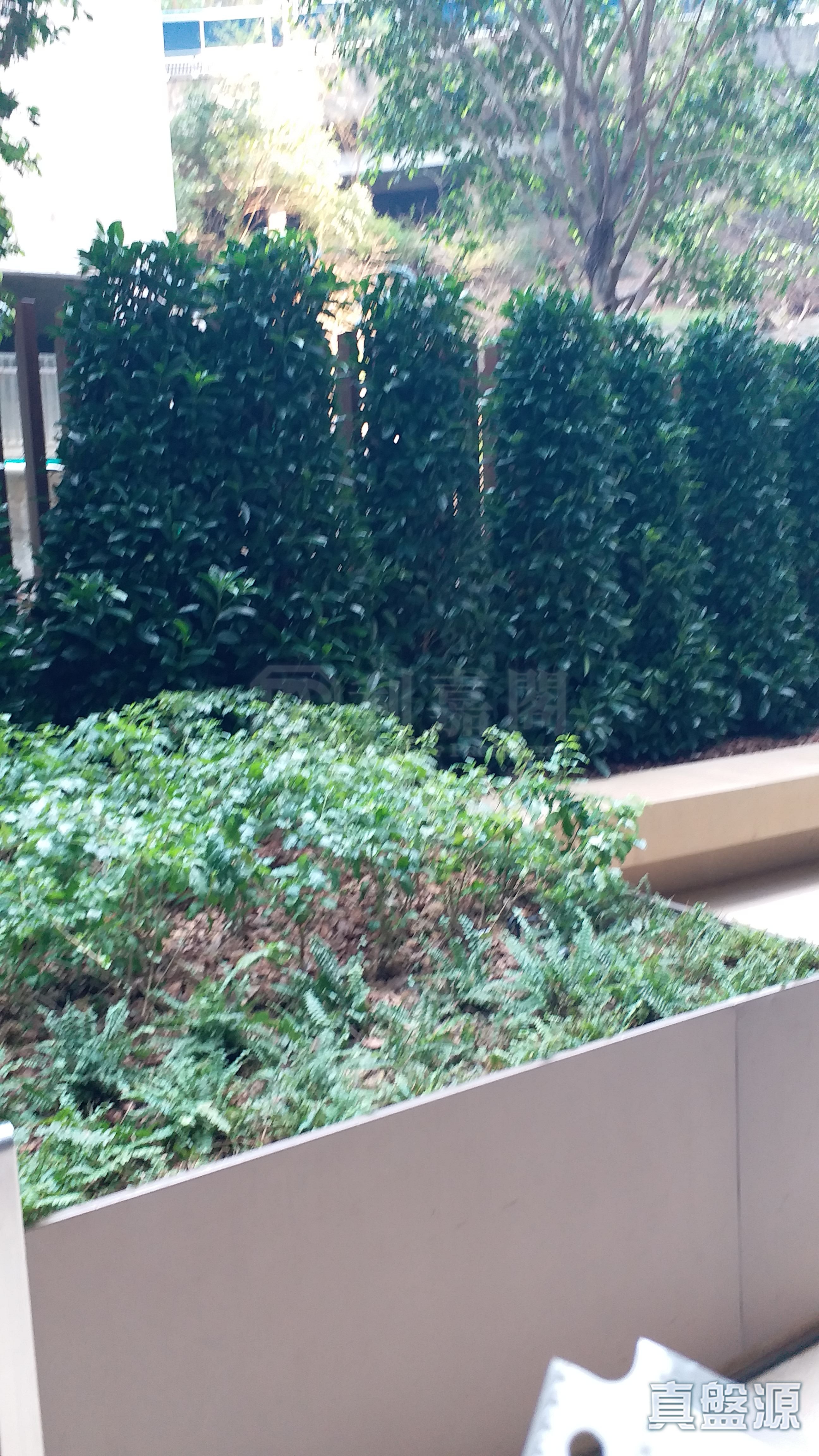 ISLAND GARDEN TOWER 1 High Floor Zone Flat D Sai Wan Ho/Shau Kei Wan