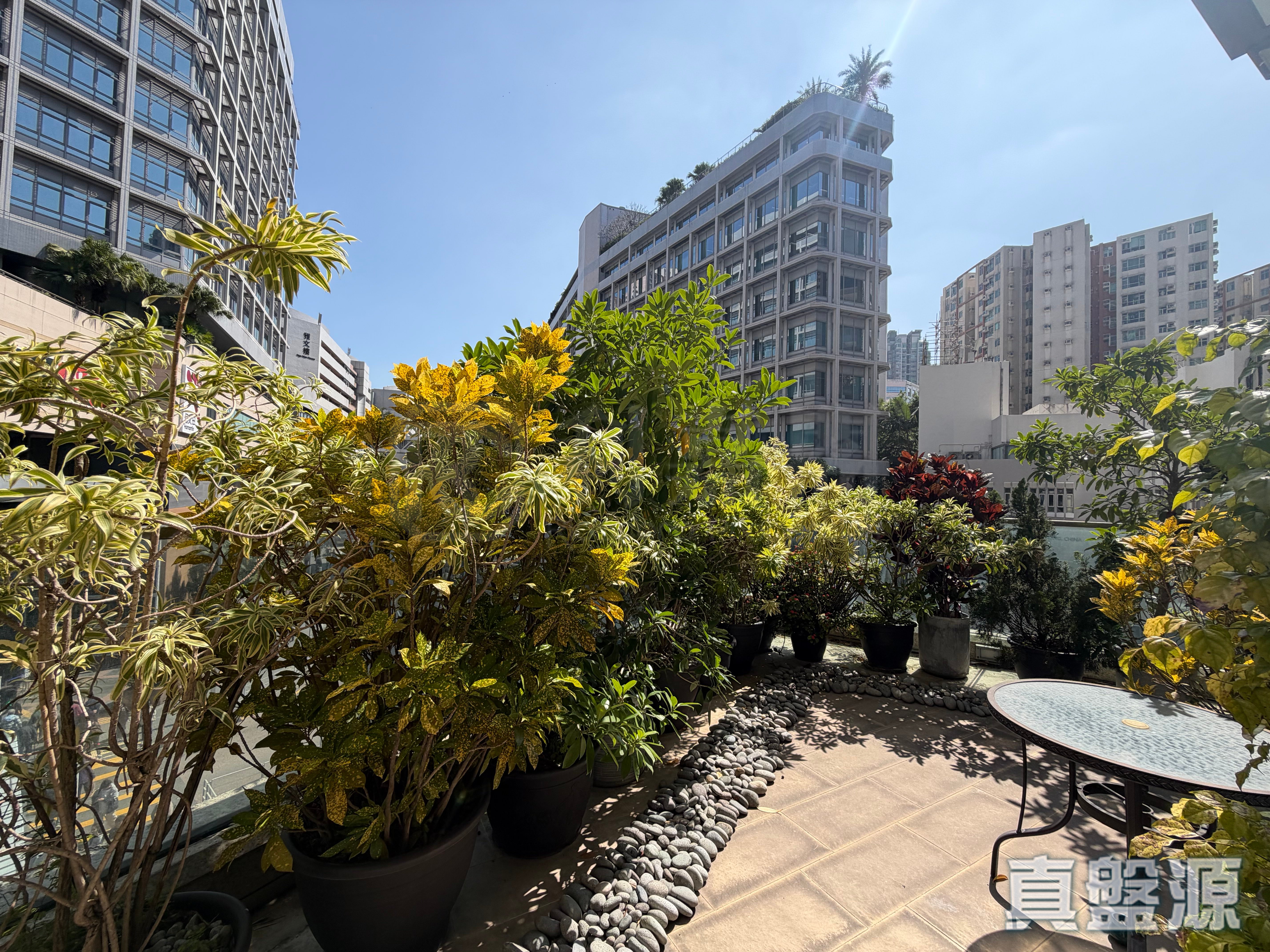 ONE HOMANTIN 1座 低層 G室 何文田/京士柏/九龍塘/又一村