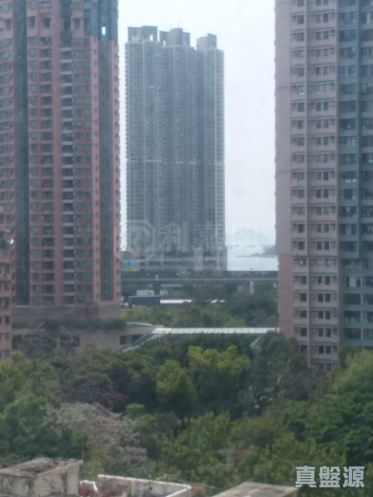 港湾豪庭 2期 10座 低层 D室 奥运站/南昌