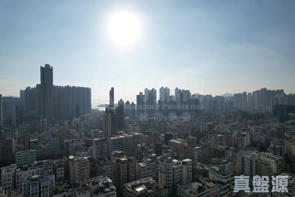 晓柏峰 A座 极高层 A9室 西九龙