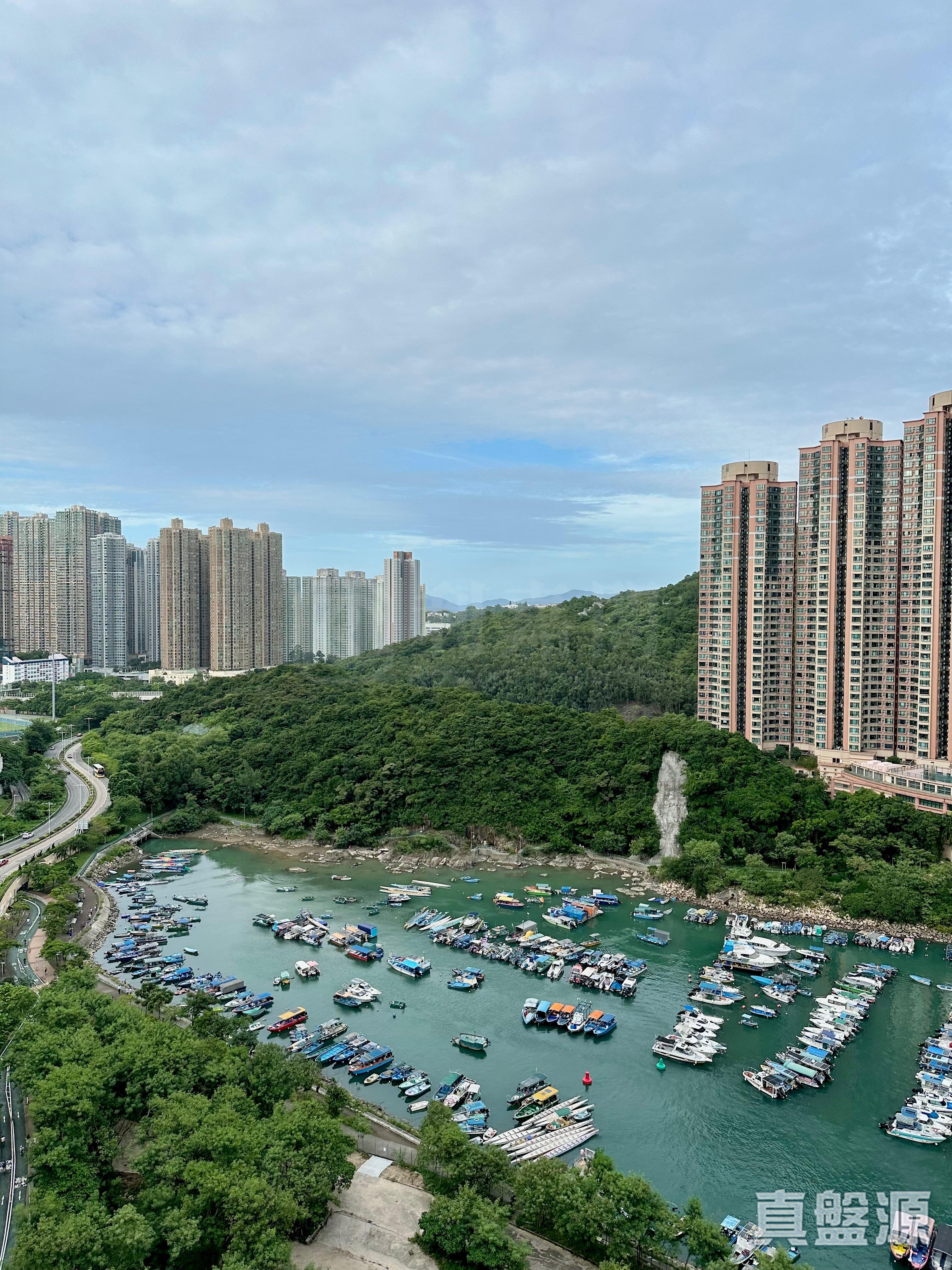 SAVANNAH TOWER 2 Very High Floor Zone Flat D Tseung Kwan O