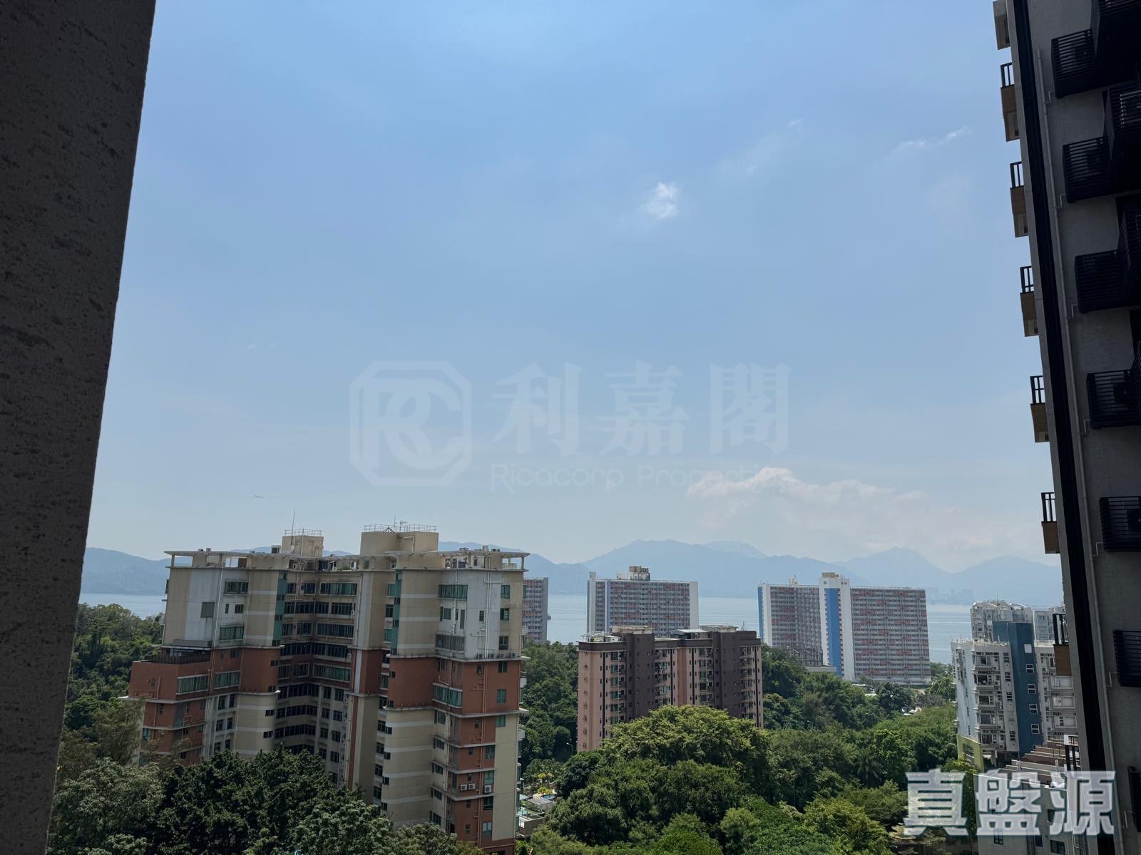OMA BY THE SEA 2座 高層 C5室 深井/青山公路