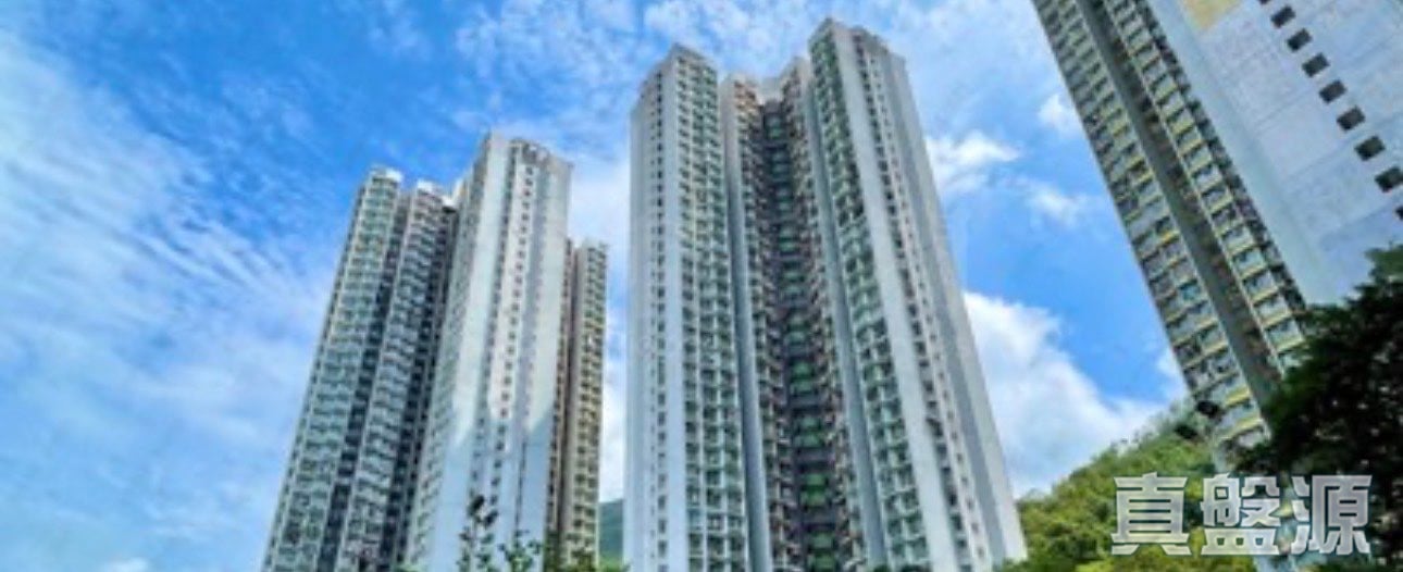 東駿苑 銀駿閣 (B座) 中層 9室 西灣河/筲箕灣