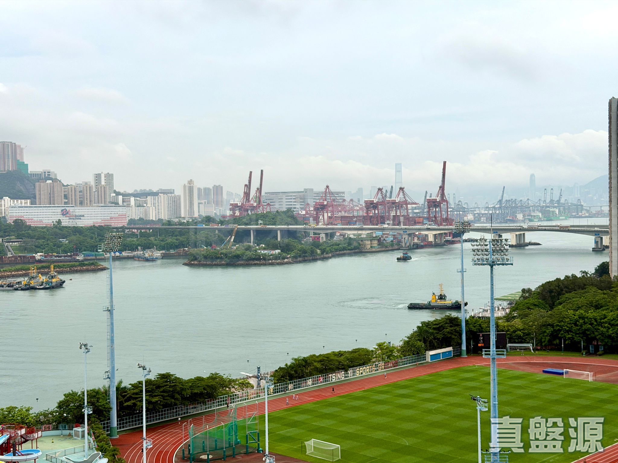 盈翠半島 2期 10座 低層 D室 青衣