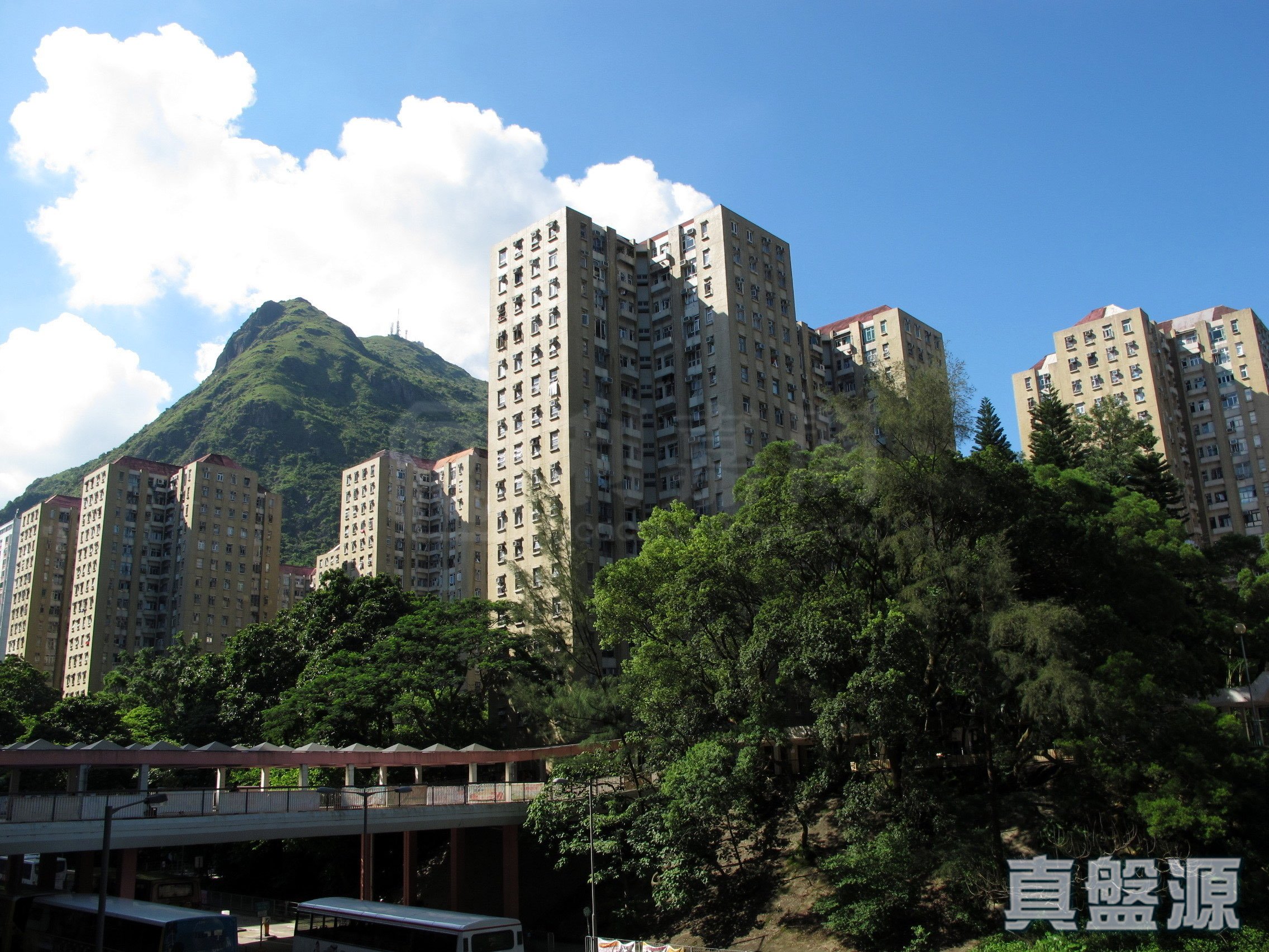 顺致苑 顺成阁 (E座) 高层 7室 观塘/蓝田/油塘