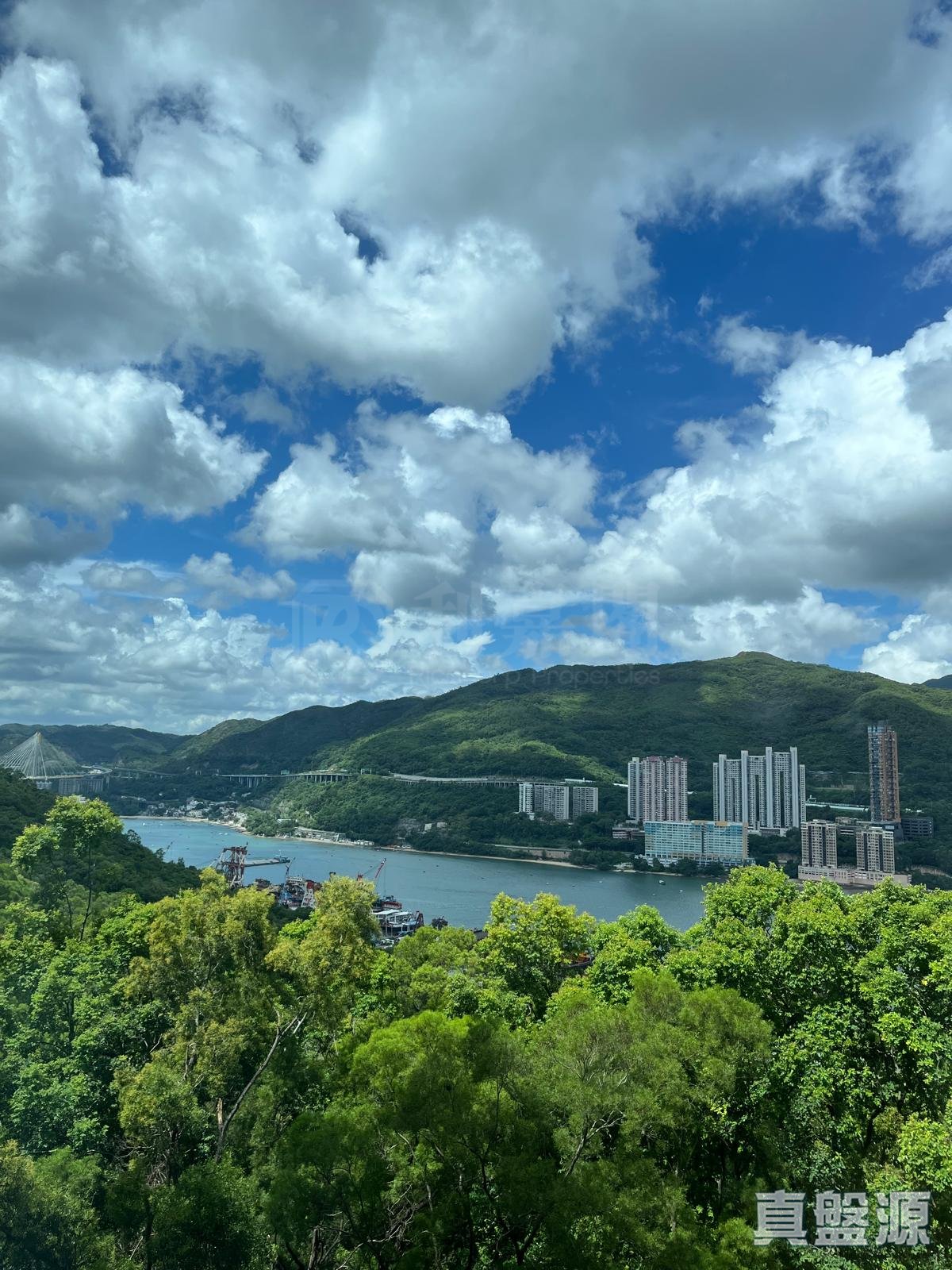 荟蓝 中层 A11室 青衣