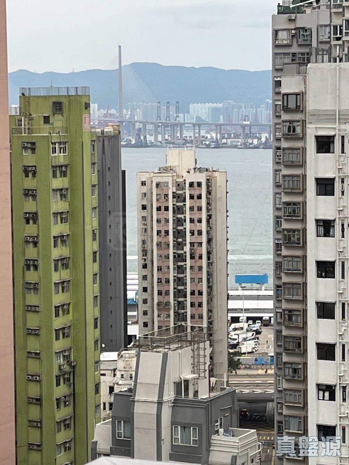 高士台 2座 中層 D室 西半山
