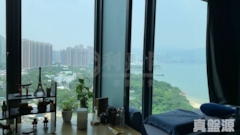 DOUBLE COVE Phase 4 Double Cove Grandview - Block 6 High Floor Zone Flat G Ma On Shan