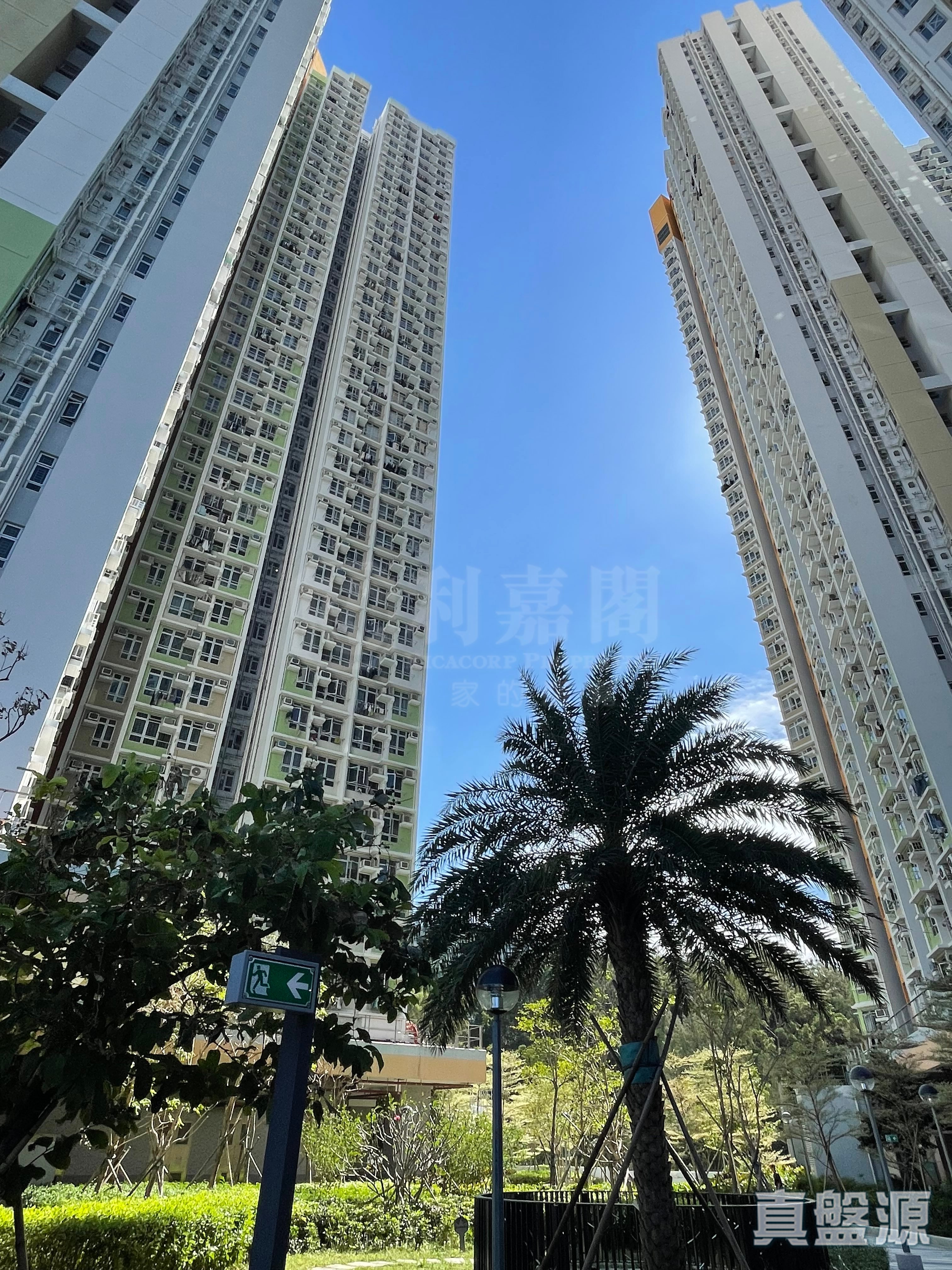 山麗苑 B座 高層 6室 上水/粉嶺/古洞